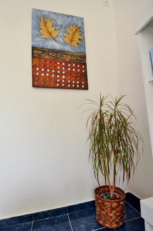 Villa Branka Apartments Near Dubrovnik With Pool And Wine Cellar Ivanica Exterior foto